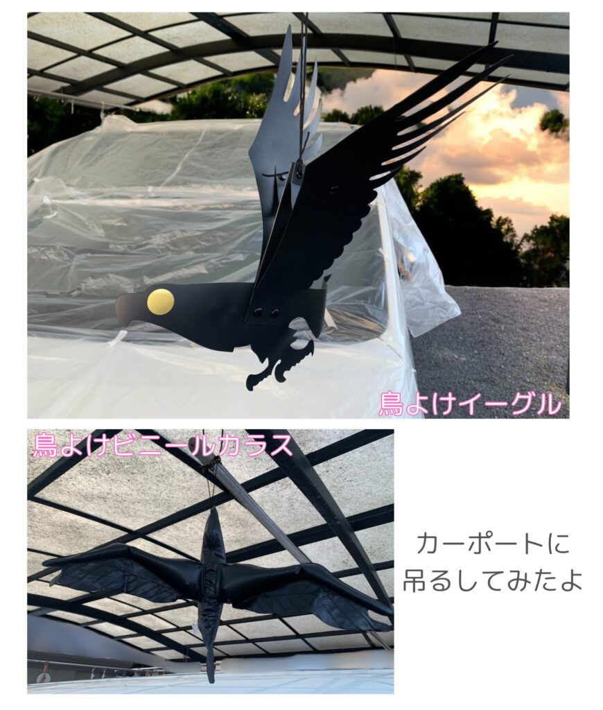 ダイソーの鳥よけグッズを実際に使用した写真