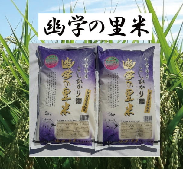 株式会社ソルクシーズの優待品のイメージ写真