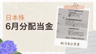 2025年6月配当金実績15.9万円|日本株で配当金生活への挑戦と記録